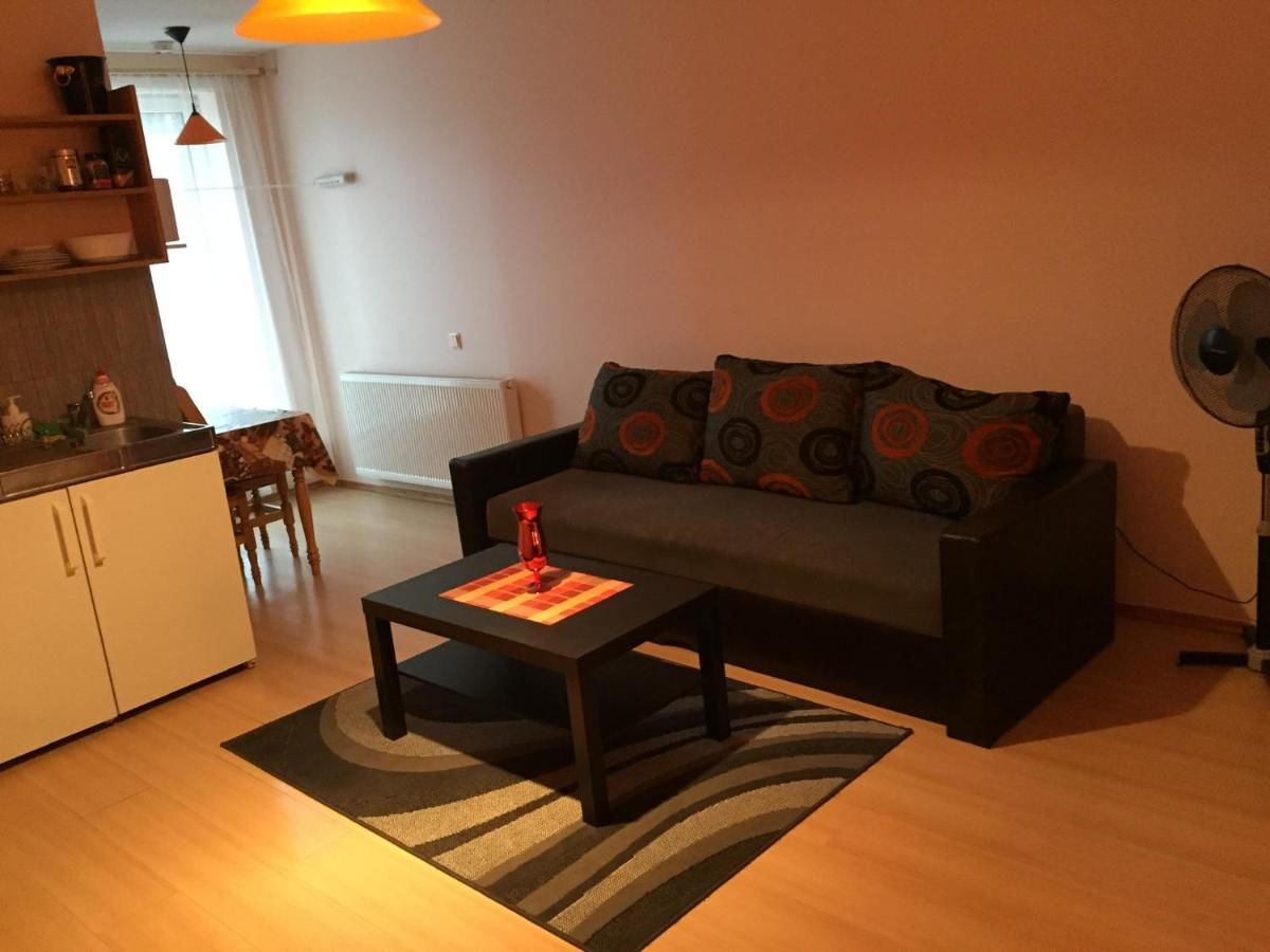 Апартаменты Apartamentai pas Reginą Паланга-18