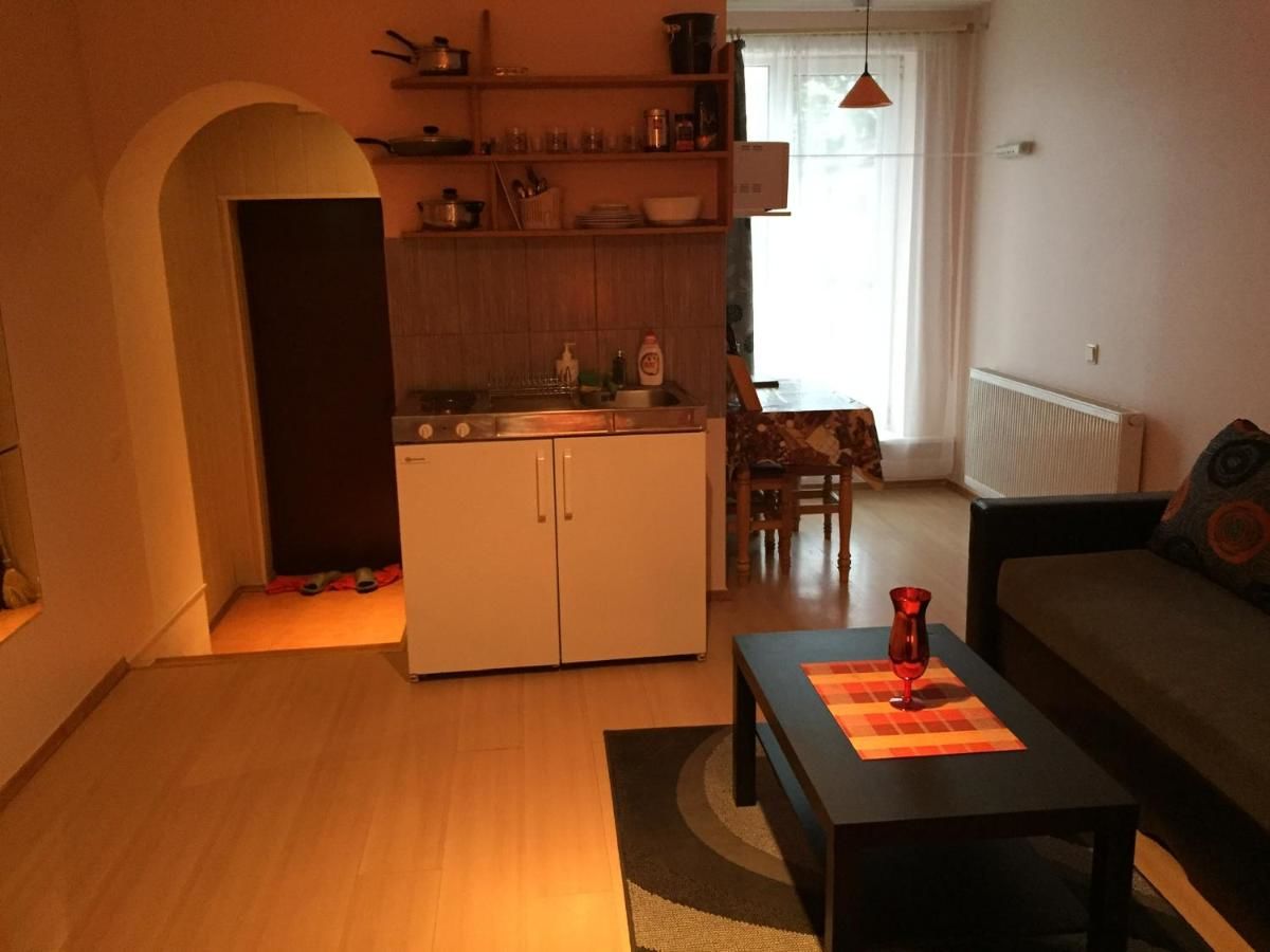 Апартаменты Apartamentai pas Reginą Паланга-19